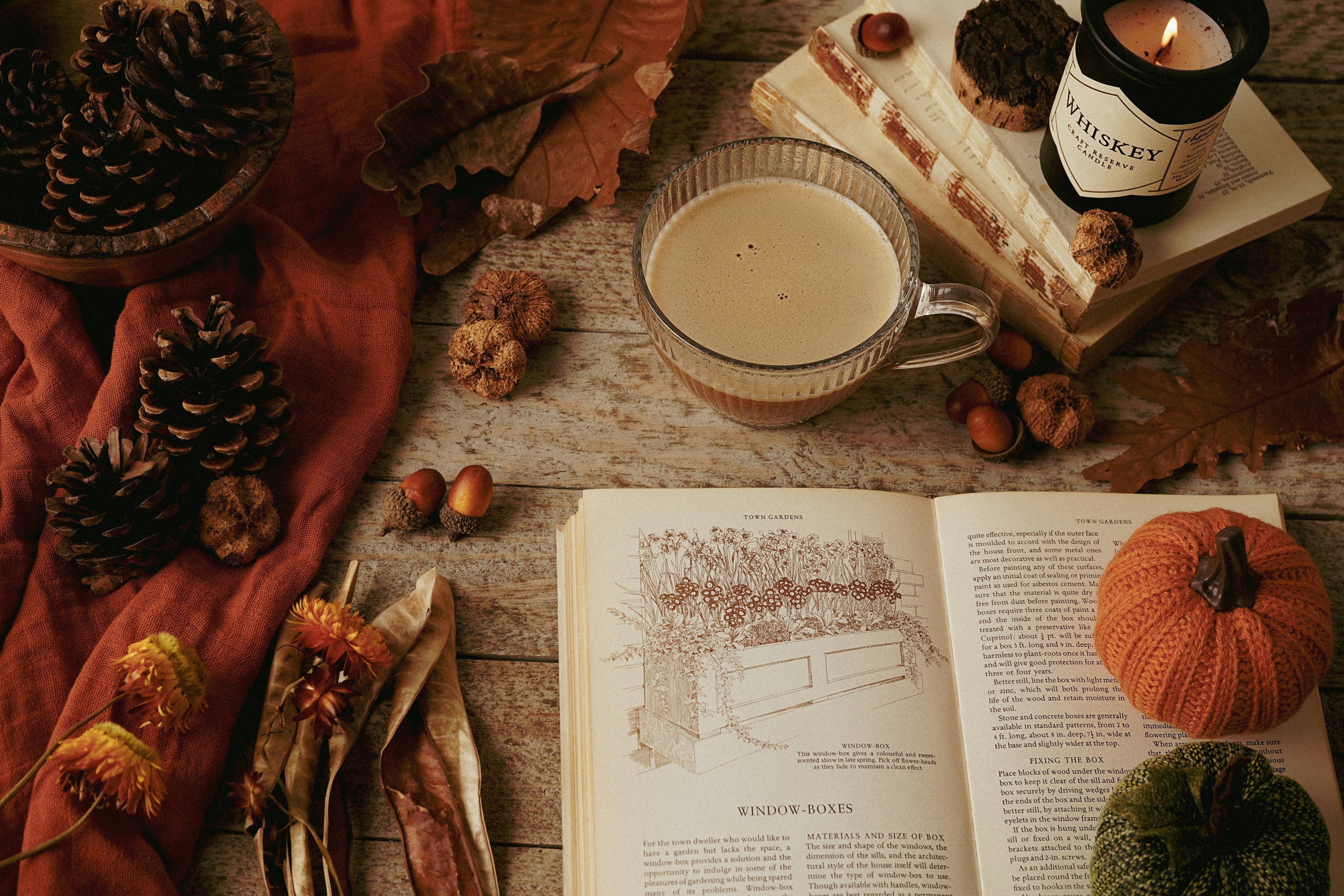 Autumn-themed setting with a mug of hot chocolate, book, and decorative items on a wooden surface.